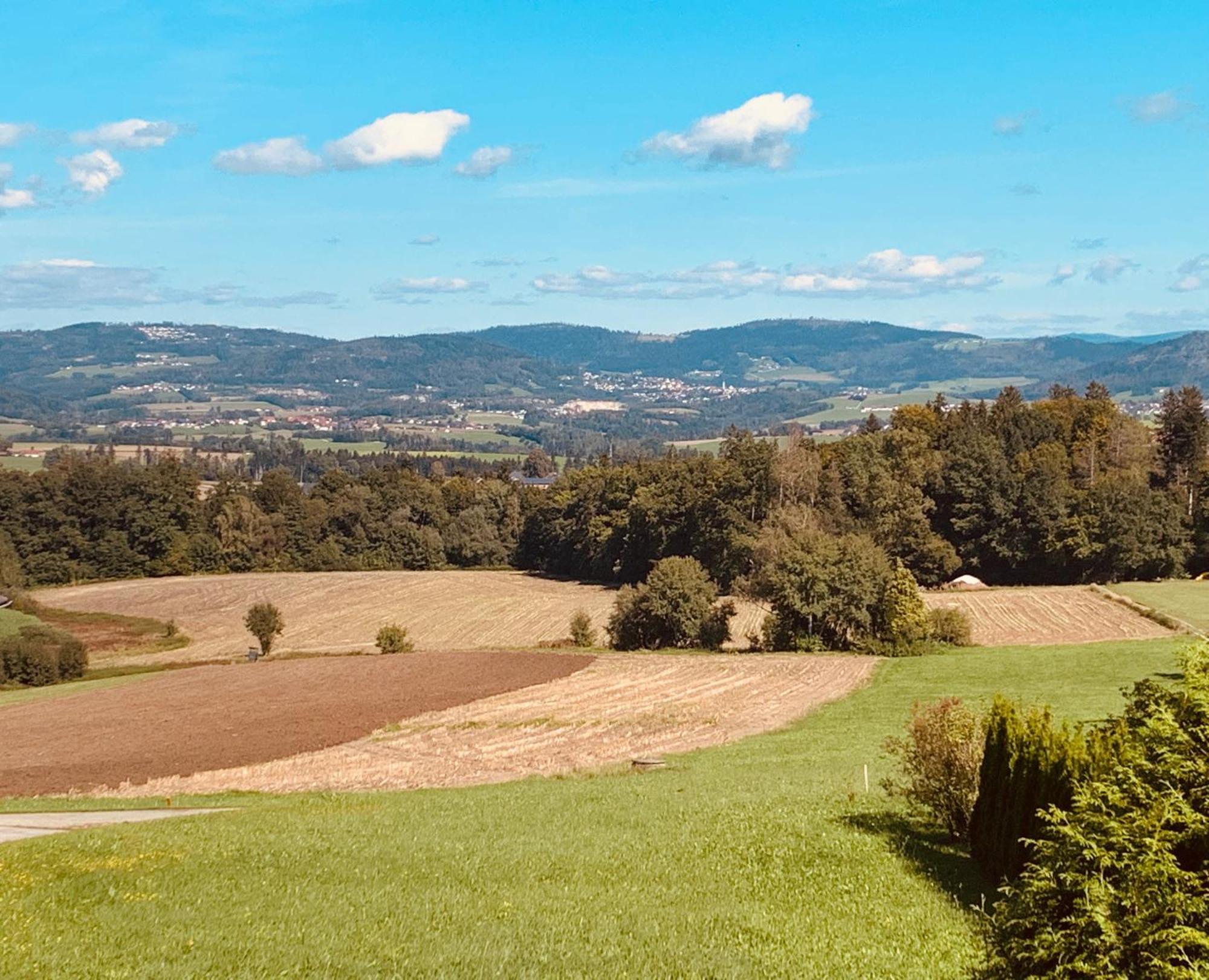 Adlerhorst, 4 Schlafzimmer, Blick In Die Alpen, Parkplatz Thyrnau Exterior foto